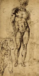 Study of Nudes